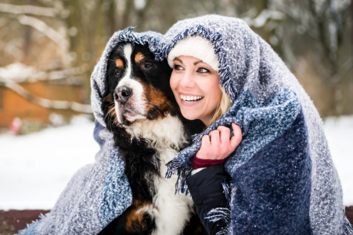 Walking Your Dog in the Snow