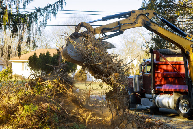 reasons-you-need-land-clearing-services