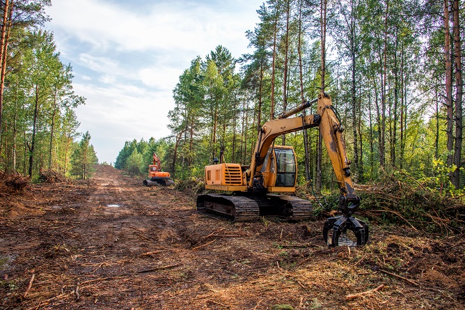 transform-your-land-expert-clearing-solutions